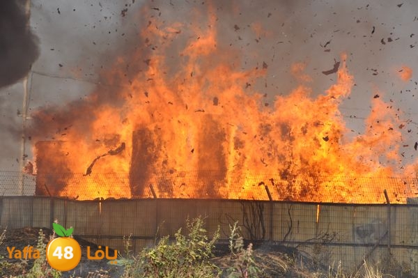 firecartoonsecnd506 (3).JPG